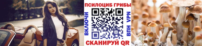 закладки  Десногорск  Псилоцибиновые грибы MAGIC MUSHROOMS 